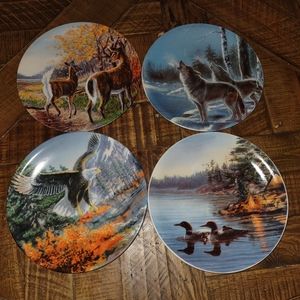 Bundle of decorative plates